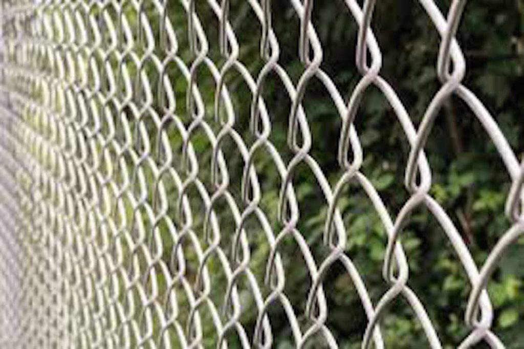 chain link fencing plantation