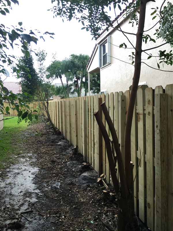 wood fence plantation